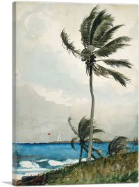 Palm Tree - Nassau 1898-1-Panel-60x40x1.5 Thick