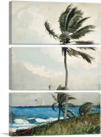 Palm Tree - Nassau 1898-3-Panels-90x60x1.5 Thick