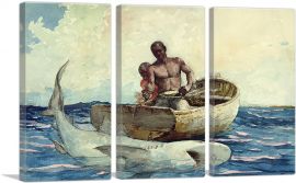 Shark Fishing 1885-3-Panels-90x60x1.5 Thick