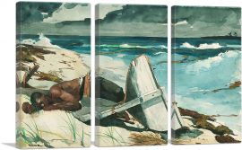 After the Hurricane - Bahamas 1899-3-Panels-60x40x1.5 Thick