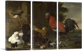Yard with Rooster and Hens and Chicks 1670-3-Panels-60x40x1.5 Thick