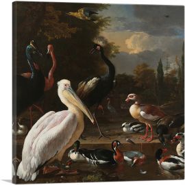 A Pelican and Other Birds Near a Pool - The Floating Feather 1680-1-Panel-18x18x1.5 Thick