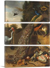 Peacocks 1683-3-Panels-90x60x1.5 Thick