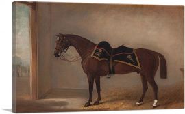 Lively Dick - Charger of the 4th Royal Irish Dragoon Guards 1857