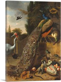 Peacocks 1683