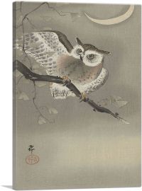 Scops Owl on Ginkgo Branch Under Crescent Moon