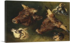 Studies of Cattle and Sheep