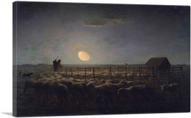 The Sheepfold - Moonlight