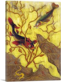 Fish and Crustaceans 1902