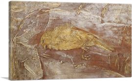 Dead Bird 1890