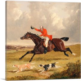 Foxhunting - Encouraging Hounds
