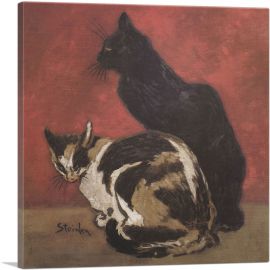 Cats 1910