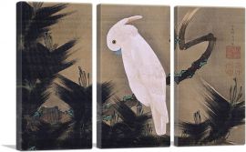 White Cockatoo on a Pine Branch-3-Panels-90x60x1.5 Thick