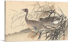 Two Geese Among Reeds 1892