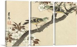 Two Green Birds On Blossom Branch 1892-3-Panels-60x40x1.5 Thick