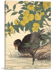 Cormorant And Kerria Rose 1891-1-Panel-12x8x.75 Thick