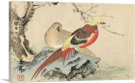 Couple Of Pheasants On Rock 1892-1-Panel-40x26x1.5 Thick