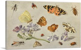Butterflies a Moth Ladybird And Other Insects With a Sprig Of Auricula-1-Panel-12x8x.75 Thick