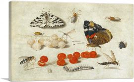 Butterfly Caterpillar Moth Insects And Currants-1-Panel-40x26x1.5 Thick