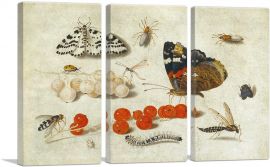 Butterfly Caterpillar Moth Insects And Currants-3-Panels-90x60x1.5 Thick