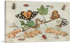 Insects And Fruit-1-Panel-40x26x1.5 Thick
