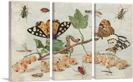 Insects And Fruit-3-Panels-60x40x1.5 Thick