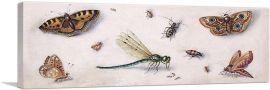 Insects Butterflies And a Dragonfly-1-Panel-36x12x1.5 Thick
