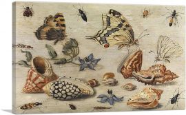 Shells Butterflies And Flowers-1-Panel-12x8x.75 Thick