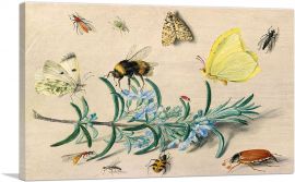 Still Life Study Insects On a Spring Of Rosemary Butterflies Bumble Bee1653-1-Panel-12x8x.75 Thick