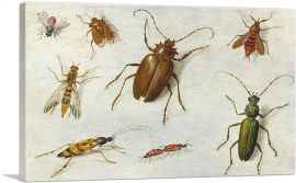 Study Of Insects-1-Panel-26x18x1.5 Thick