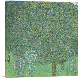 Rosebushes Under the Trees 1905-1-Panel-18x18x1.5 Thick