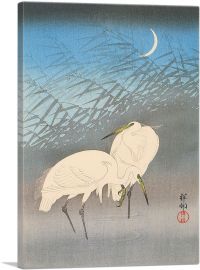 Egrets and Reeds in Moonlight-1-Panel-12x8x.75 Thick