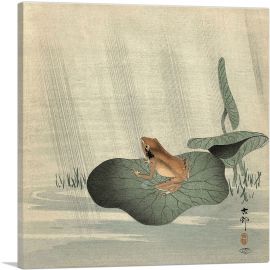 Frog on a Lotus Leaf-1-Panel-18x18x1.5 Thick