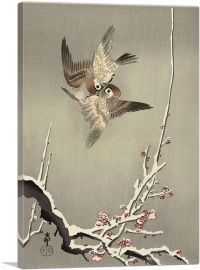Sparrows Fighting-1-Panel-60x40x1.5 Thick