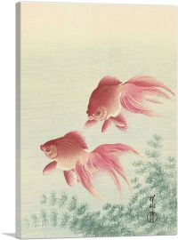 Two Gold Fish-1-Panel-26x18x1.5 Thick