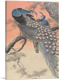 Two Peacocks on a Branch-1-Panel-26x18x1.5 Thick