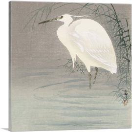 Wading Egret-1-Panel-36x36x1.5 Thick