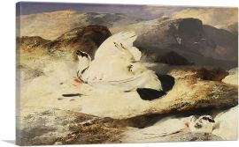Ptarmigan in a Landscape 1833-1-Panel-40x26x1.5 Thick