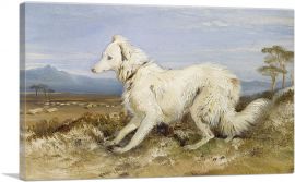 White Collie in a Landscape-1-Panel-26x18x1.5 Thick