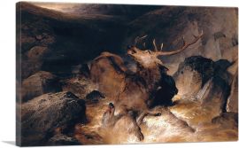Deer And Deer Hounds In A Mountain Torrent 1832-1-Panel-18x12x1.5 Thick