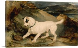 Portrait of a Terrier 1858-1-Panel-12x8x.75 Thick