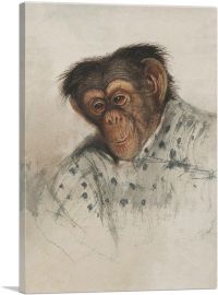 Chimpanzee 1835-1-Panel-18x12x1.5 Thick