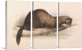 A Weasel 1832-3-Panels-60x40x1.5 Thick