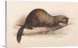 A Weasel 1832-1-Panel-12x8x.75 Thick