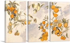 Orange Trees 1863-3-Panels-90x60x1.5 Thick