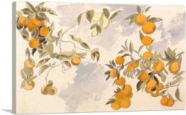 Orange Trees 1863-1-Panel-18x12x1.5 Thick