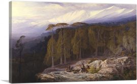 The Forest Of Valdoniello Corsica-1-Panel-40x26x1.5 Thick