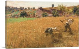 Harvest 1900-1-Panel-12x8x.75 Thick