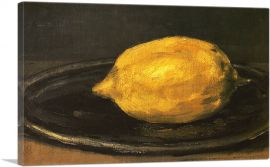 The Lemon 1880-1-Panel-26x18x1.5 Thick