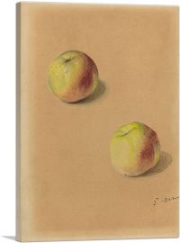 Two Apples 1880-1-Panel-40x26x1.5 Thick
